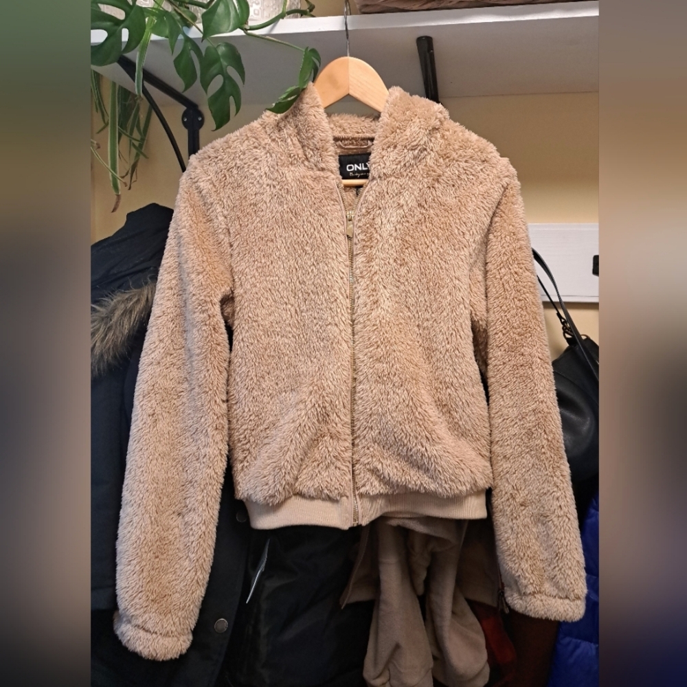Only Teddy Sherpa